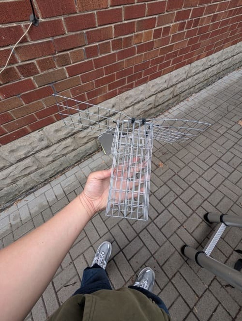 Guard More Pest Control Inc. - Toronto Bed Bug Exterminator work photo 6